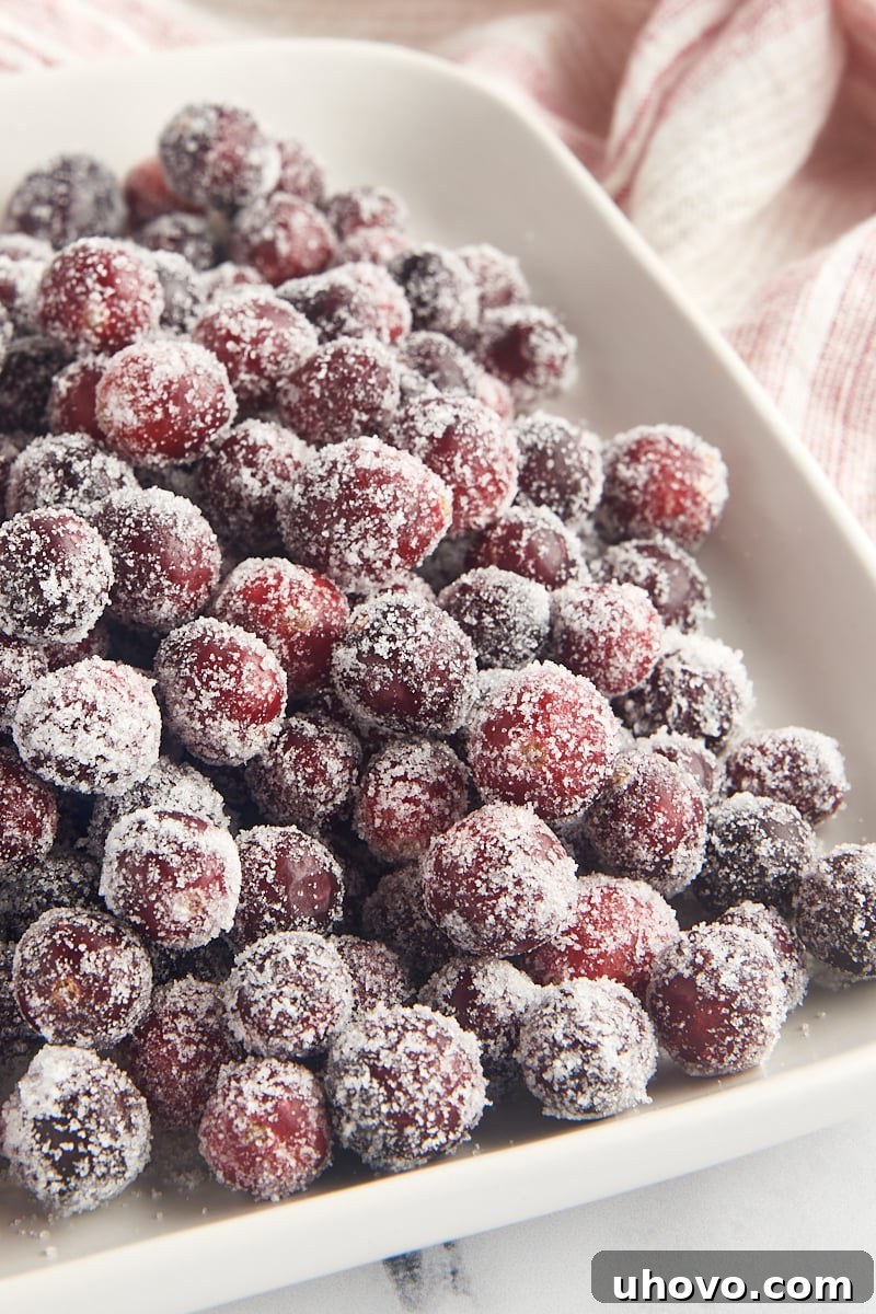 A pristine white tray brimming with freshly sugared cranberries, showcasing their perfect, frosty coating.