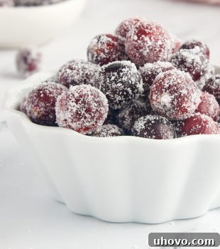 Sugared cranberries in a white bowl with more berries in the foreground and background, showcasing their festive appeal.