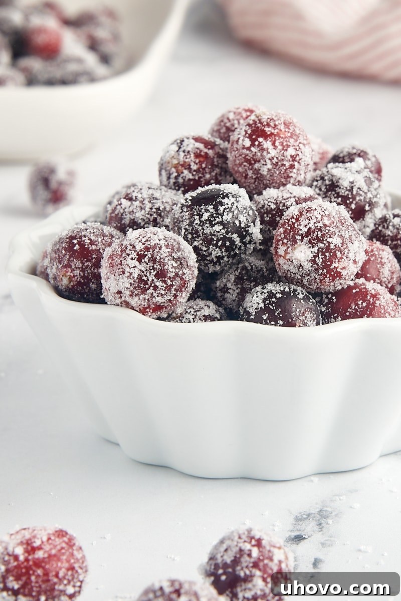 A charming close-up of sugared cranberries in a white bowl, with more berries loosely arranged around it, highlighting their frosted beauty.