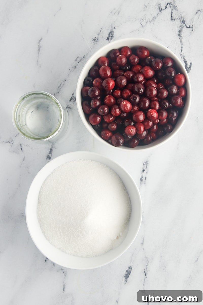 Overhead view of the minimal ingredients required for making sugared cranberries: granulated sugar, water, and fresh cranberries.