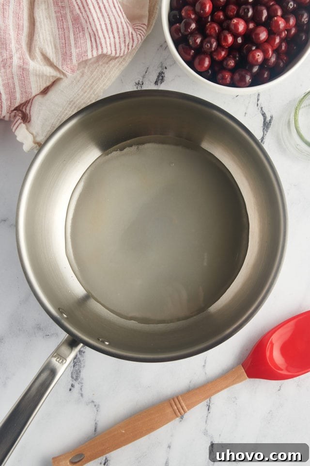 Overhead view of water and granulated sugar combined in a medium saucepan before heating.