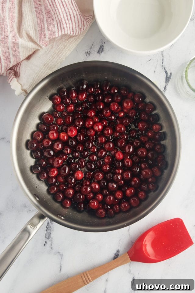 Overhead view of fresh cranberries being gently stirred into the simple syrup in a saucepan, ensuring even coating.