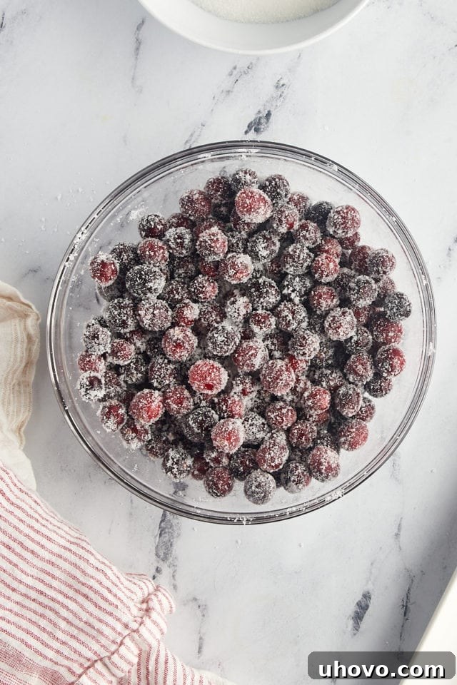 Overhead view of tacky, syrup-coated cranberries being tossed with additional granulated sugar for their final sparkling coating.
