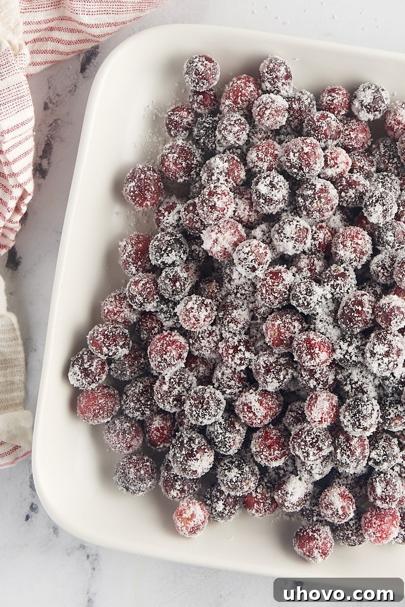 Overhead view of an abundant spread of perfectly sugared cranberries arranged on a white serving tray.