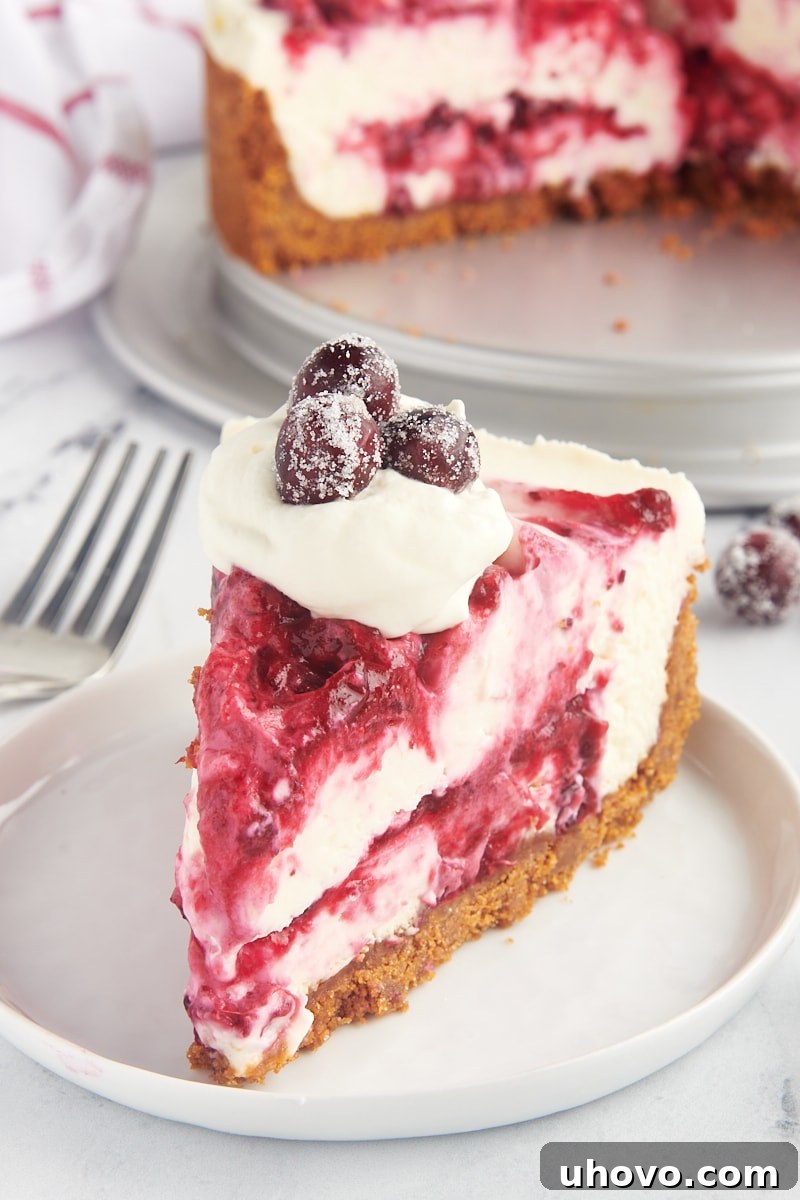 a slice of no-bake cranberry cheesecake topped with whipped cream and sugared cranberries and served on a white plate