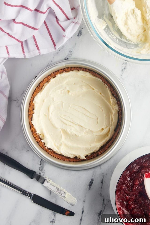 overhead view of half of the cheesecake filling spread in a Biscoff crust for no-bake cranberry cheesecake