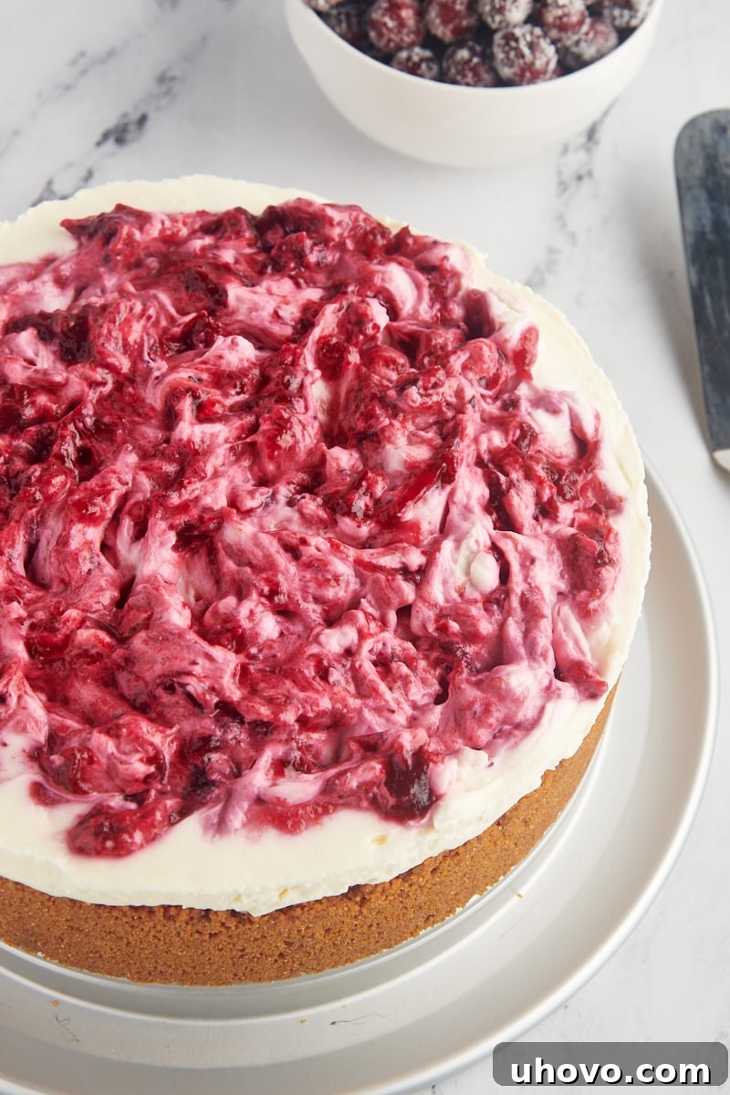 no-bake cranberry cheesecake on a metal serving plate with sugared cranberries in the background