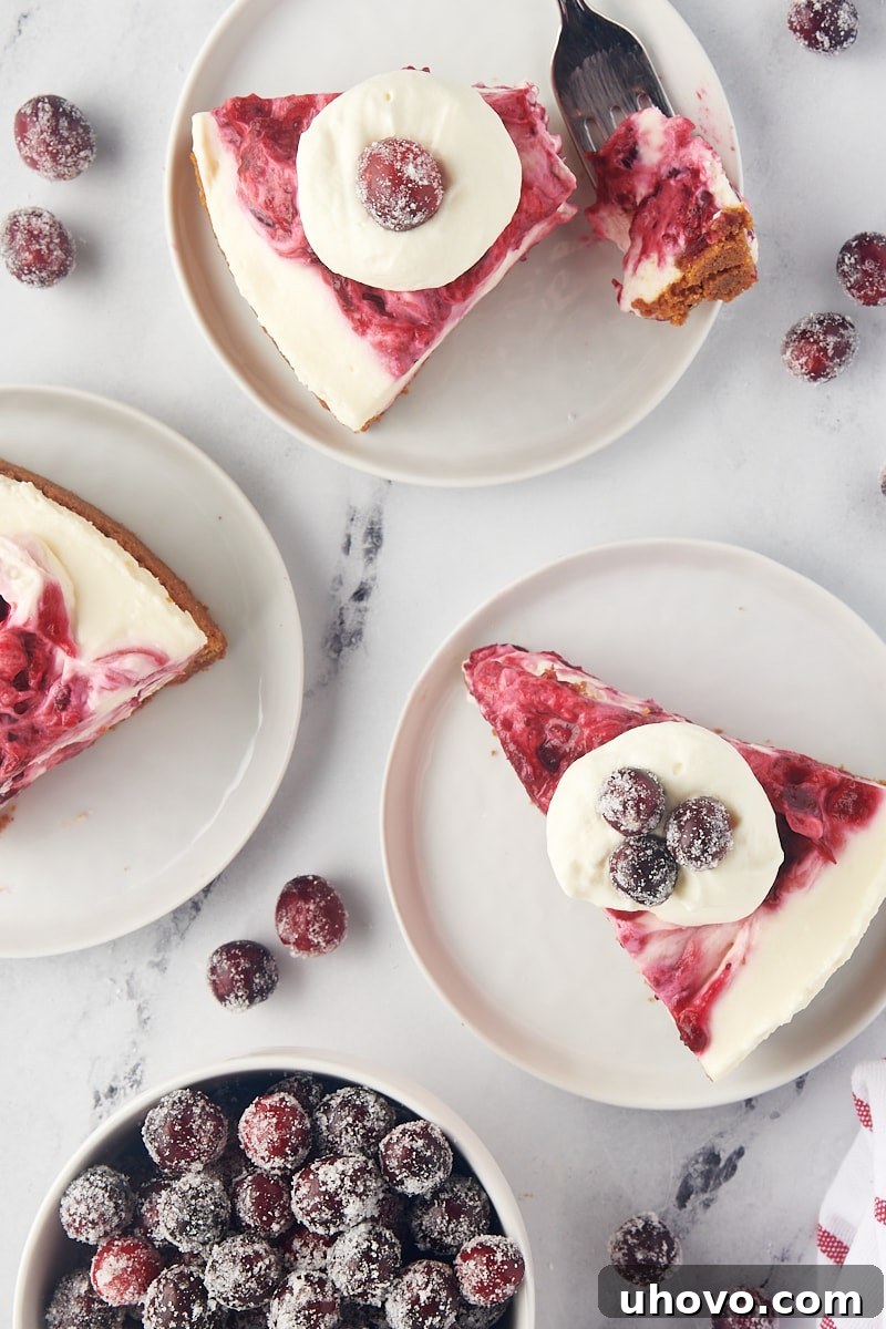 overhead view of three slices of no-bake cranberry cheesecake topped with whipped cream and sugared cranberries
