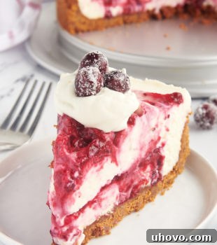 a slice of no-bake cranberry cheesecake topped with whipped cream and sugared cranberries and served on a white plate
