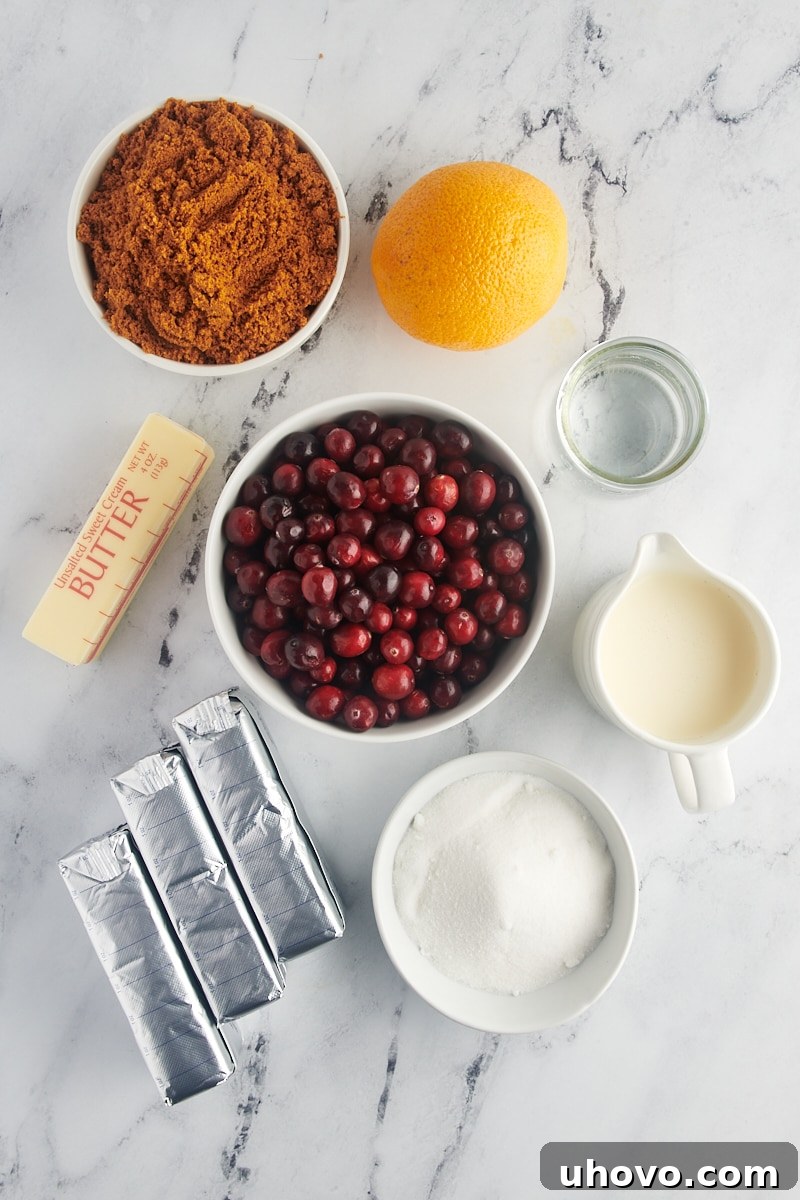 overhead view of ingredients for no-bake cranberry cheesecake