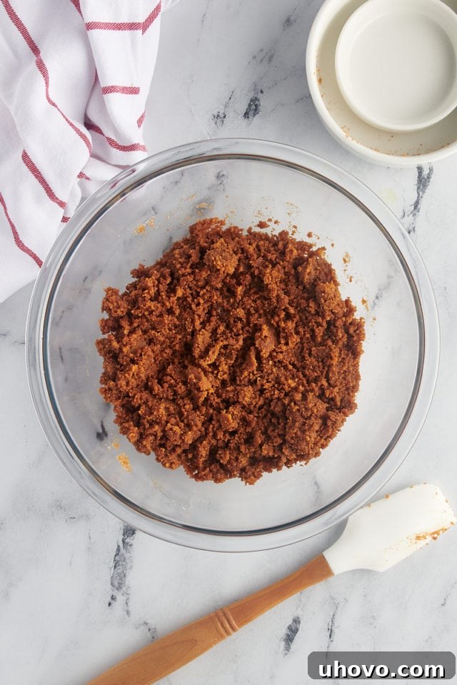 overhead view of mixed Biscoff cookie crust
