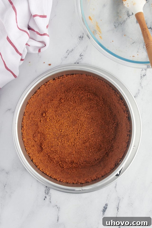 overhead view of Biscoff cookie crust pressed into the bottom and partially up the sides of a springform pan