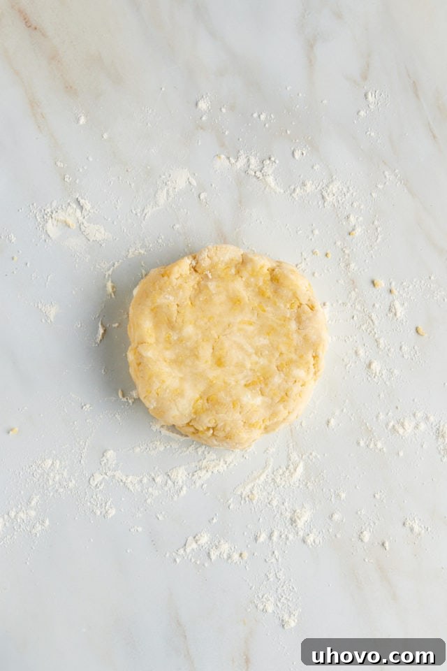 Overhead view of the tart dough shaped into a flat disc, ready for chilling.