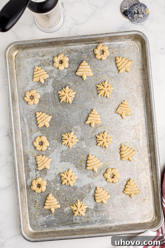 An overhead view of various shaped spritz cookies neatly arranged on a baking pan, showcasing their intricate designs before baking.