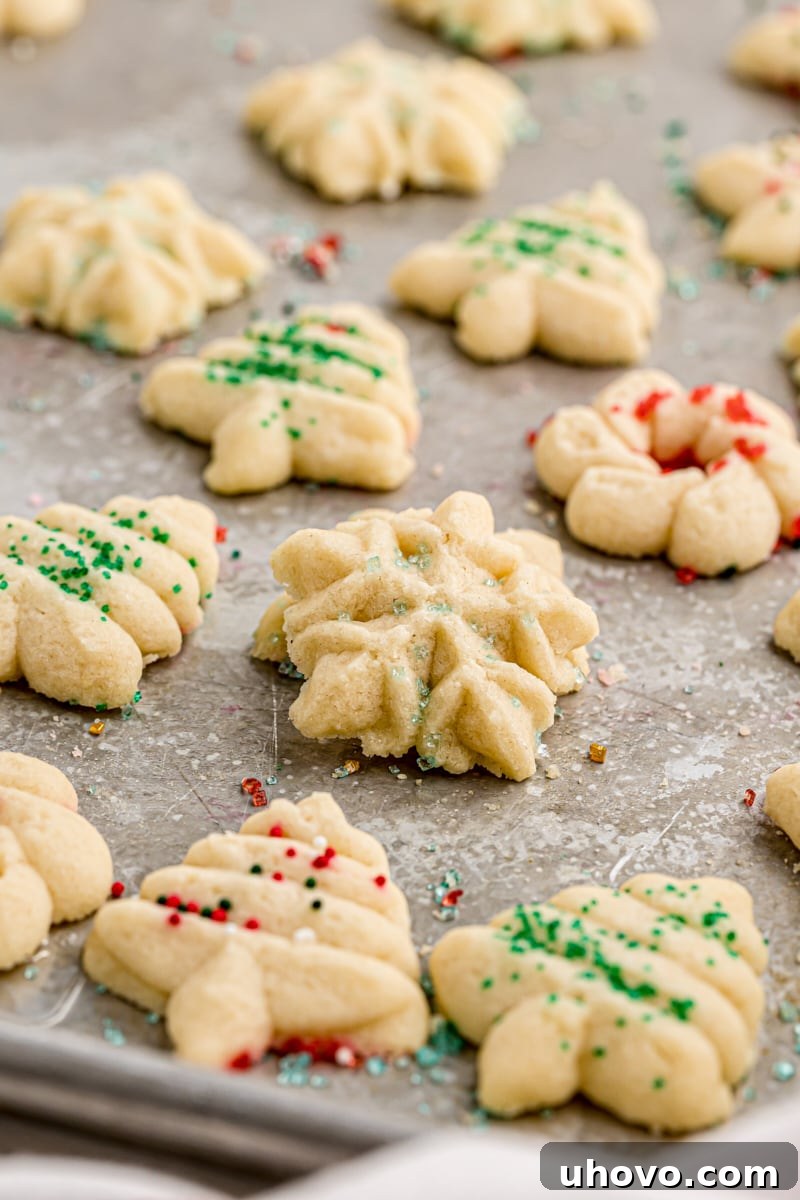 A baking sheet filled with freshly baked Christmas spritz cookies, showcasing their golden edges and festive sprinkle decorations.