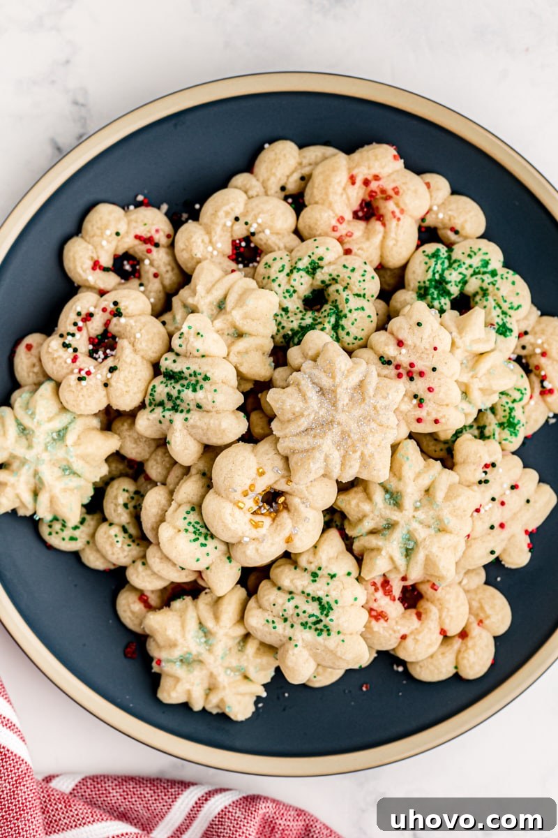 An overhead view of beautifully arranged spritz cookies on a dark blue plate, showcasing their varied shapes and festive decorations.