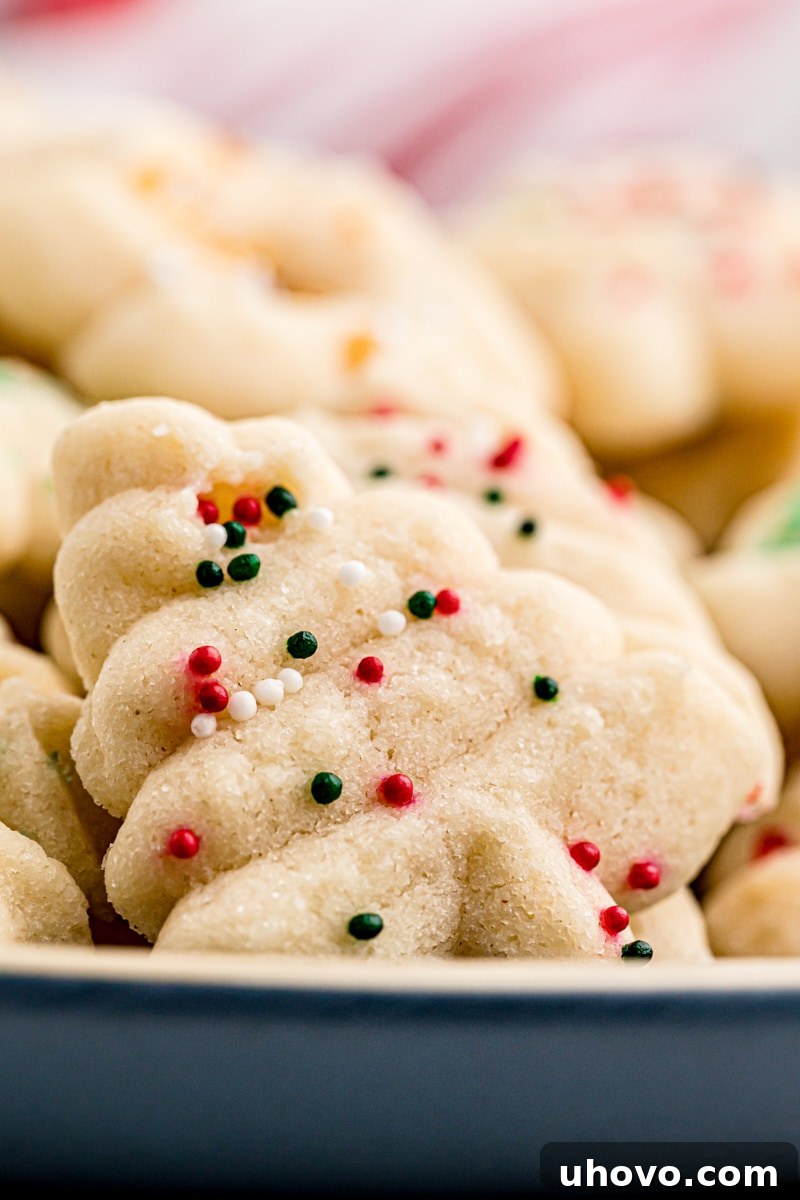 A close-up view of beautifully decorated spritz cookies arranged on a dark blue plate, highlighting their intricate shapes and festive sprinkles.