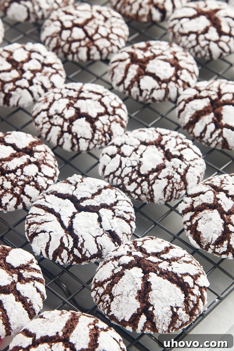 Chocolate crinkle cookies cooling on a wire rack, showing their varied and beautiful crackle patterns.