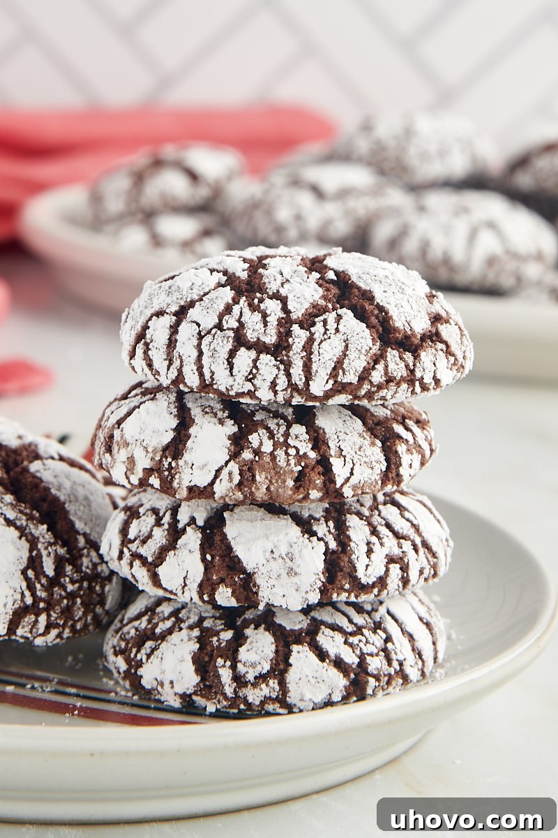 A stack of four chocolate crinkle cookies on a small white plate, with more cookies arranged around it on a textured surface.