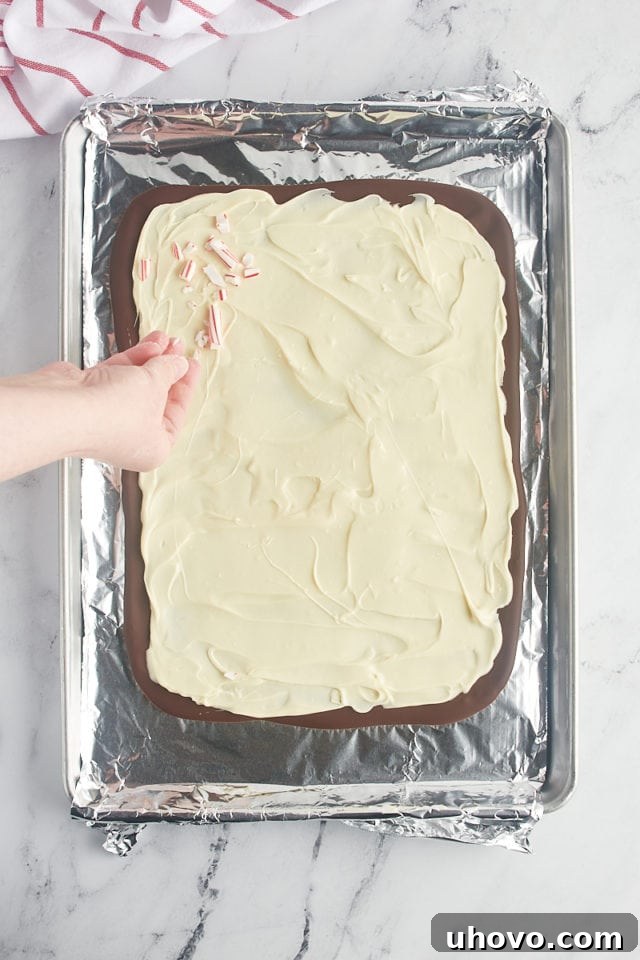 Overhead view of vibrant red and white peppermint candy pieces being generously sprinkled over the still-wet white chocolate layer of the bark.