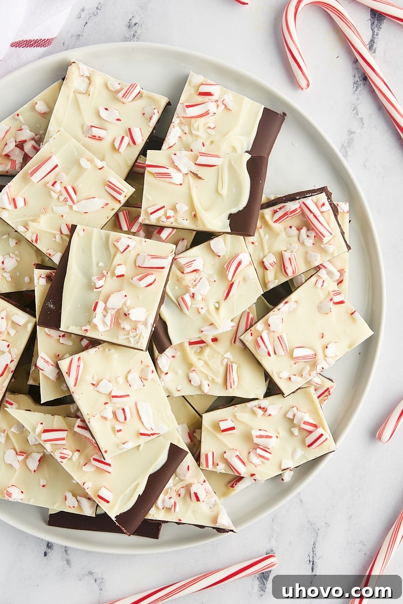 An overhead view of numerous pieces of finished peppermint bark beautifully piled on a large white serving plate, inviting a taste.