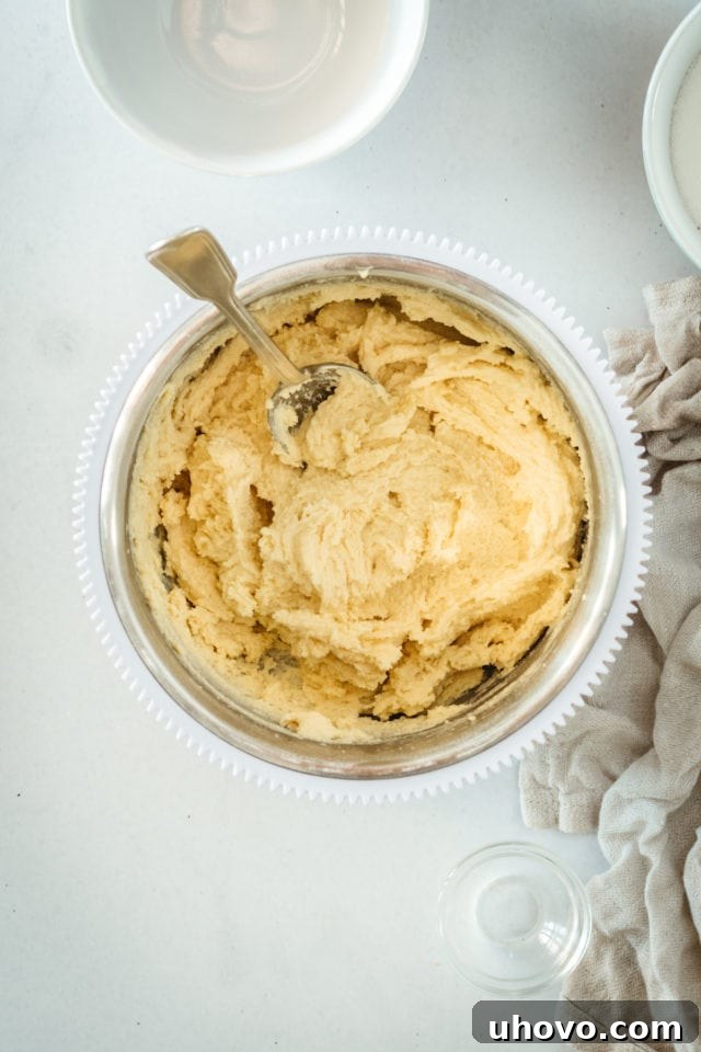Overhead view of shortbread crust mixture in mixing bowl with spoon