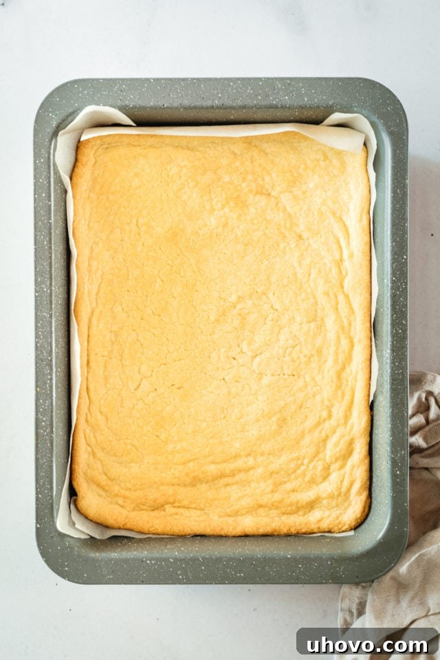 Overhead view of shortbread crust in baking pan after pre-baking