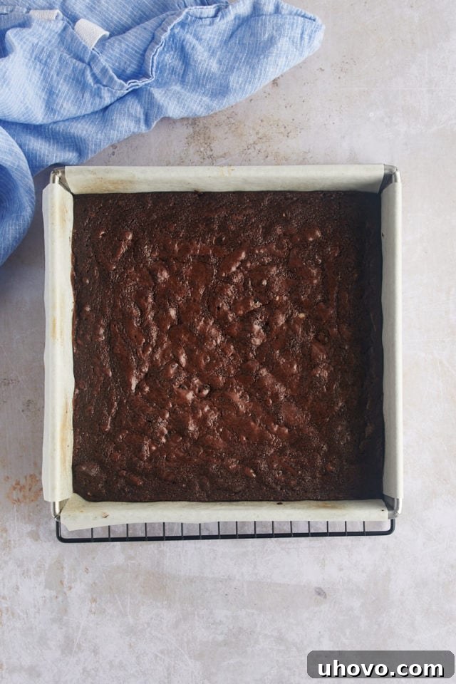 Overhead view of freshly baked Oreo brownies cooling in the pan on a wire rack.