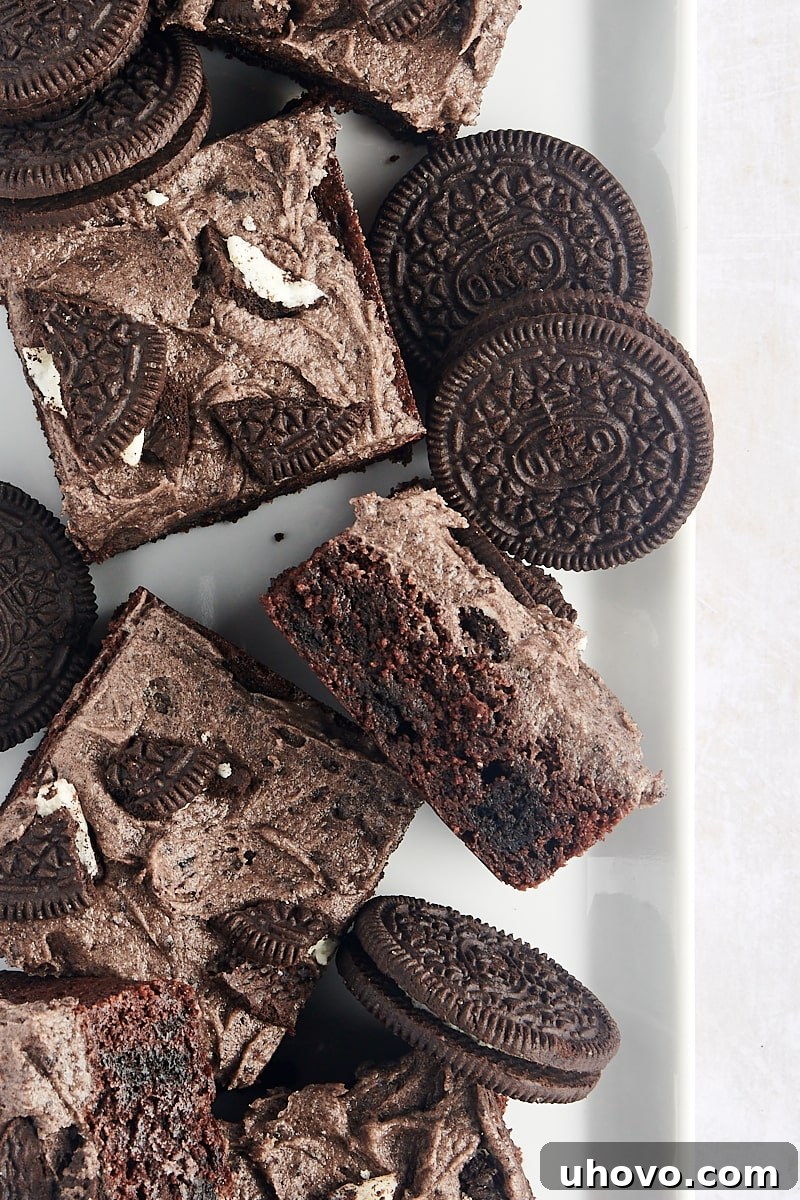 Overhead view of a tray of Oreo brownies with whole Oreo cookies arranged around them, ready to serve.