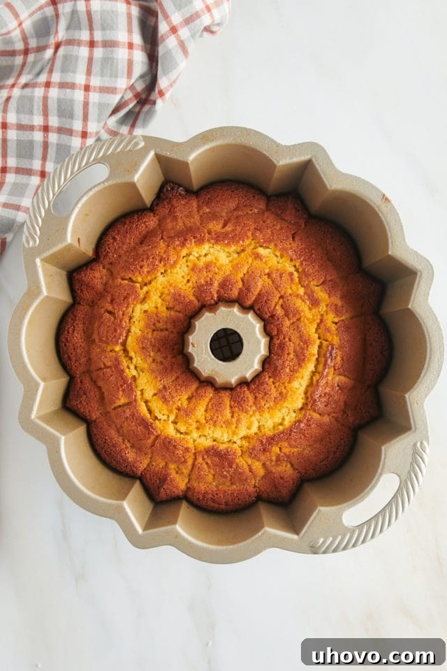 Overhead view of a freshly baked orange pound cake, golden brown and perfectly risen in its Bundt pan, cooling on a wire rack.