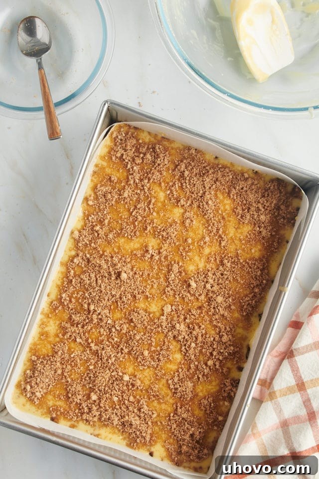 The final sprinkling of cinnamon-sugar filling generously distributed over the top layer of cake batter, ready to be swirled for a beautiful finish.
