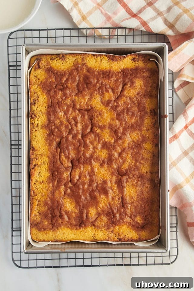 The golden-brown honey bun cake still in its baking pan, cooling on a wire rack before the final glaze is added, showcasing its freshly baked texture.