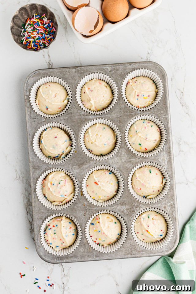 Overhead view of confetti cupcake batter perfectly portioned into white paper liners within a muffin pan, ready for baking.