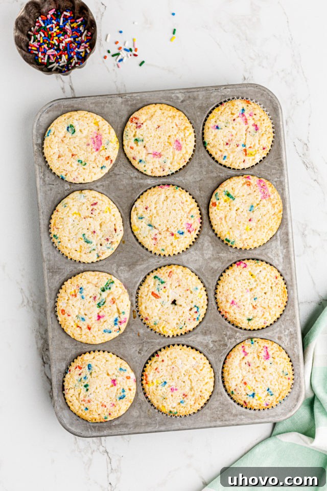 Overhead view of freshly baked, golden-brown confetti cupcakes in a muffin pan, just removed from the oven and cooling.