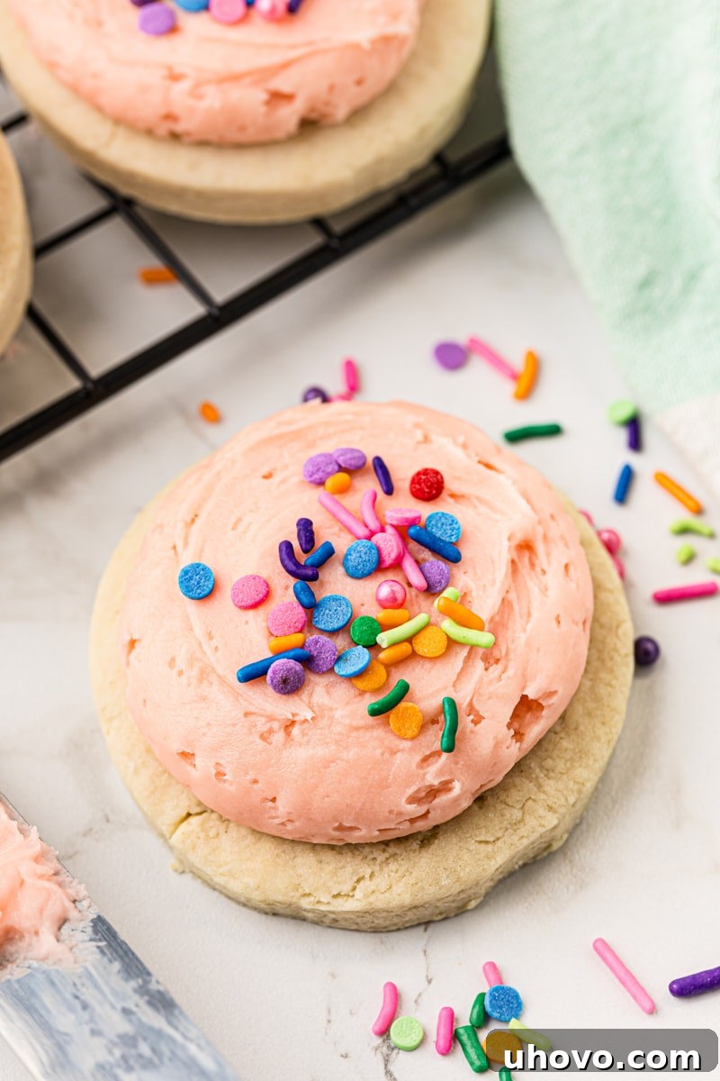 A single frosted Lofthouse cookie sitting on a marble countertop, surrounded by a scattering of colorful sprinkles.
