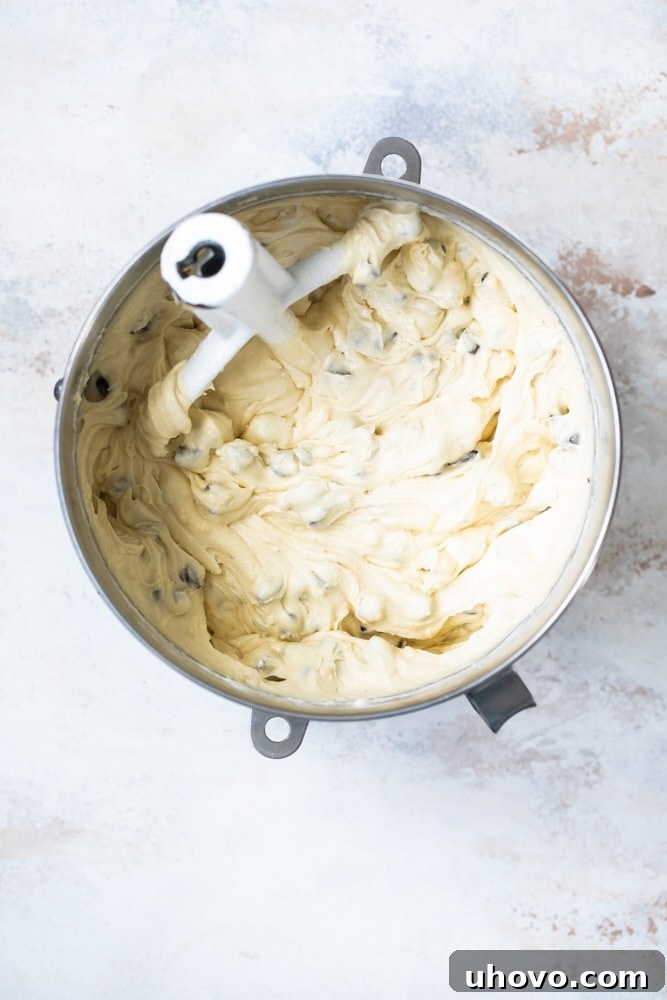 A close-up, overhead view of the rich Chocolate Chip Almond Cake batter, studded with semisweet chocolate chips, glistening in a mixing bowl.