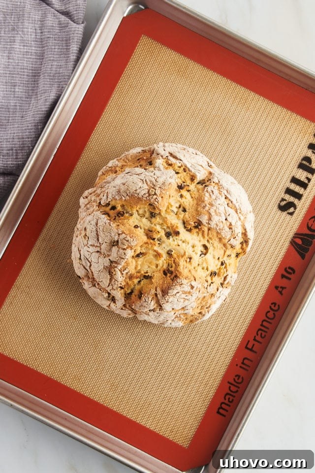 A gorgeously baked Irish soda bread, golden brown and crusty, rests on a baking sheet lined with parchment paper, fresh from the oven.