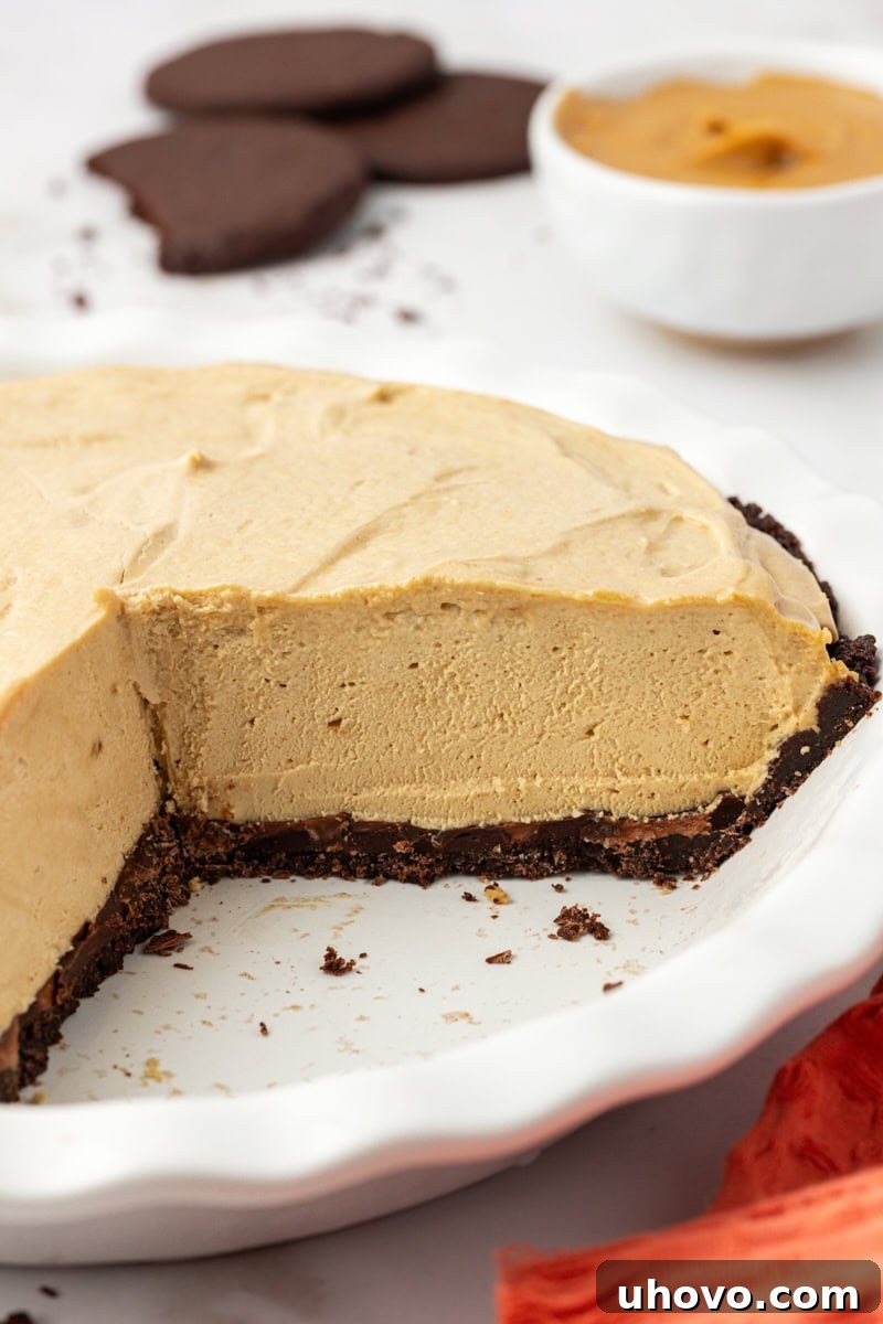 Close-up of a peanut butter pie in a pie dish, sliced to reveal the thick, fluffy peanut butter filling and chocolate layers.