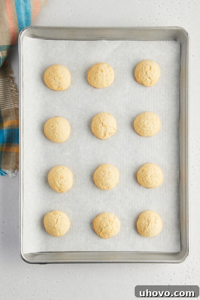 overhead view of freshly baked sour cream cookies on a parchment-lined baking sheet