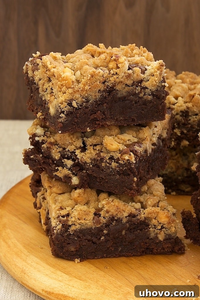 Dark, rich brownies crowned with a crunchy peanut butter streusel topping, a perfect treat for chocolate and peanut butter lovers.