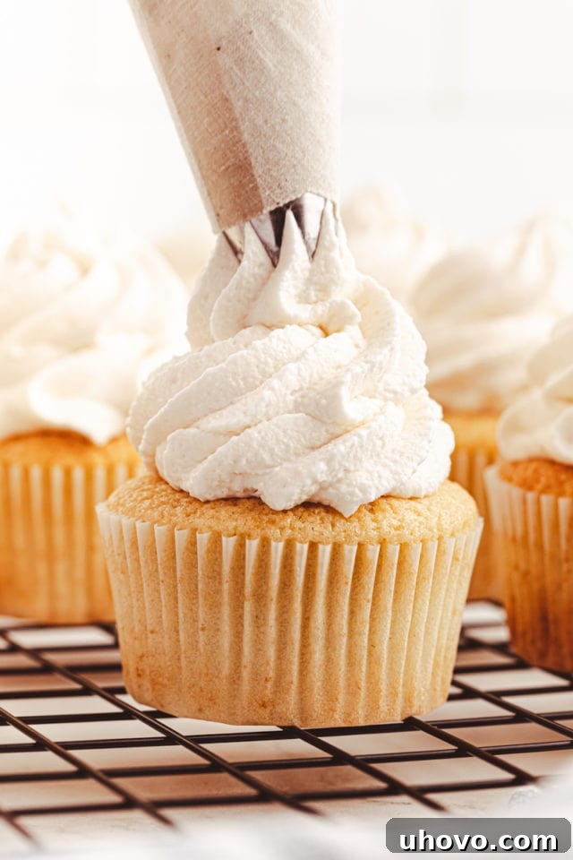 Swiss meringue buttercream being expertly piped onto a cooled vanilla cupcake using a star tip, creating an elegant swirl.