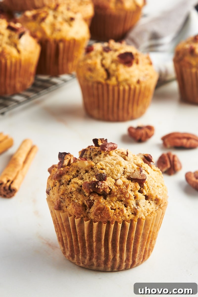 Moist cinnamon pecan muffin on countertop with additional muffins in background