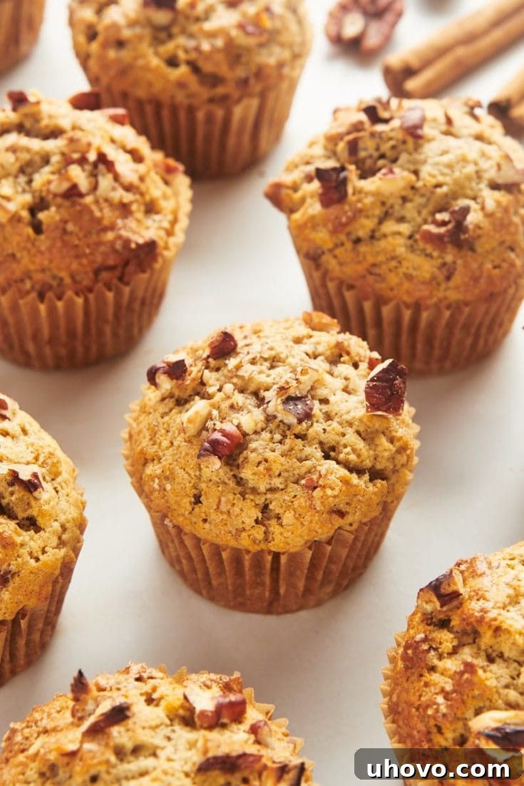 Cinnamon pecan muffins on countertop