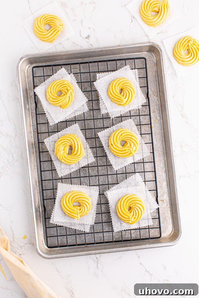 Overhead view of piped crullers on parchment squares