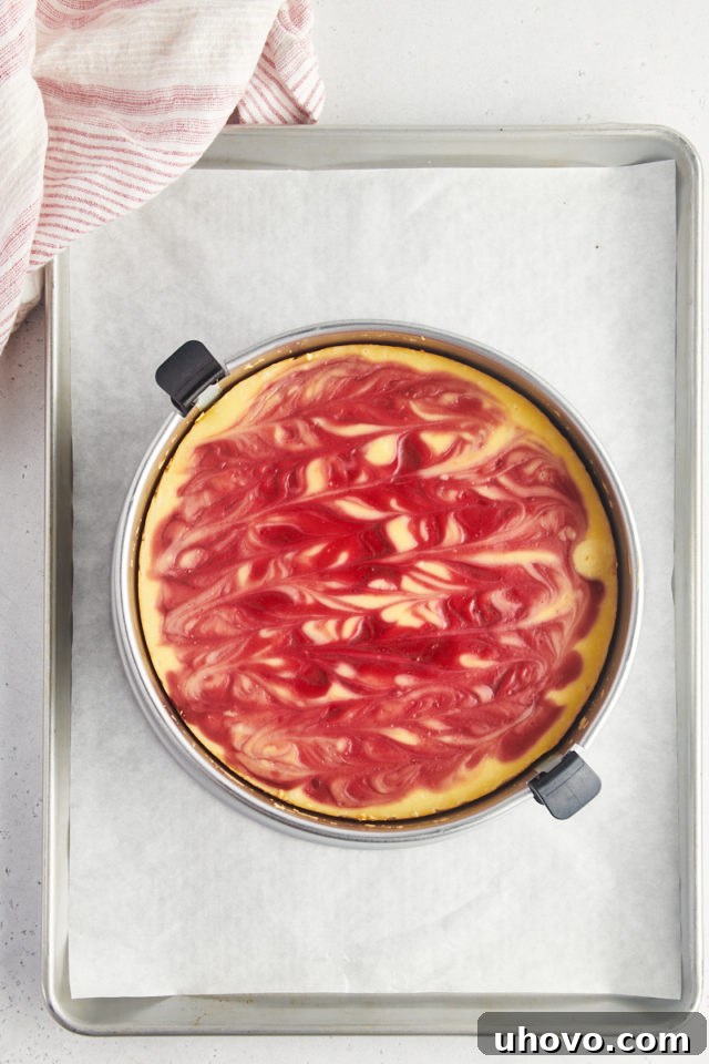 Overhead view of a perfectly baked white chocolate raspberry cheesecake cooling gracefully in its springform pan, having just been removed from the oven.