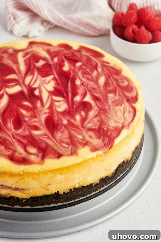 Overhead view of the cooled white chocolate raspberry cheesecake with the metal sides of the springform pan carefully removed, revealing its clean edges.