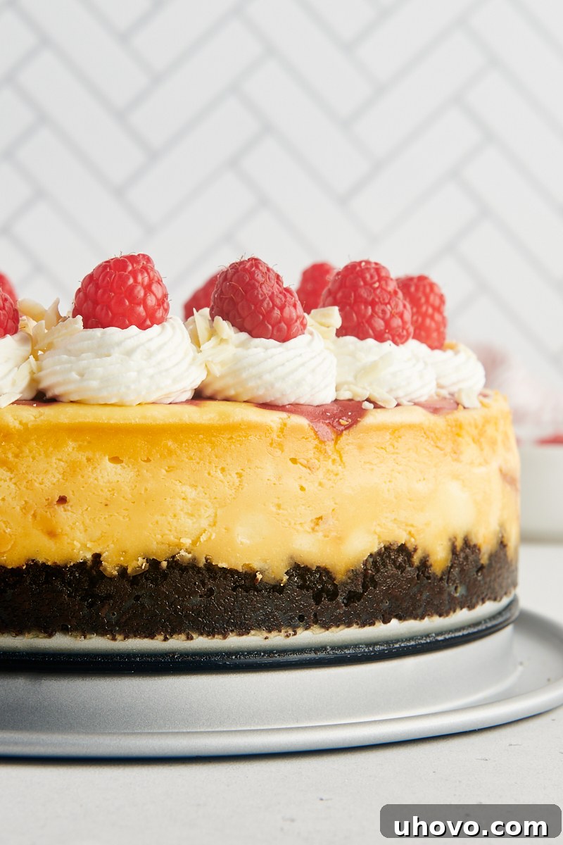 Side view of a perfectly baked and completely whole white chocolate raspberry cheesecake, showcasing its height, smooth top, and an appealing, slightly golden crust, presented on a minimalist serving stand.