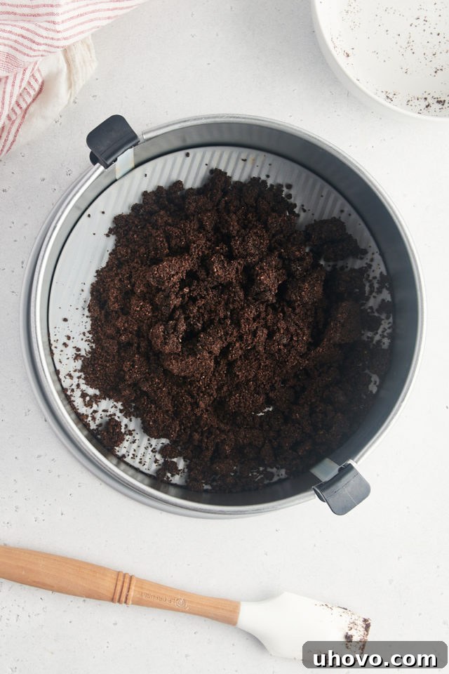 Overhead view of the dark, rich Oreo crust mixture pressed firmly and evenly into the bottom and halfway up the sides of a 9-inch springform pan.