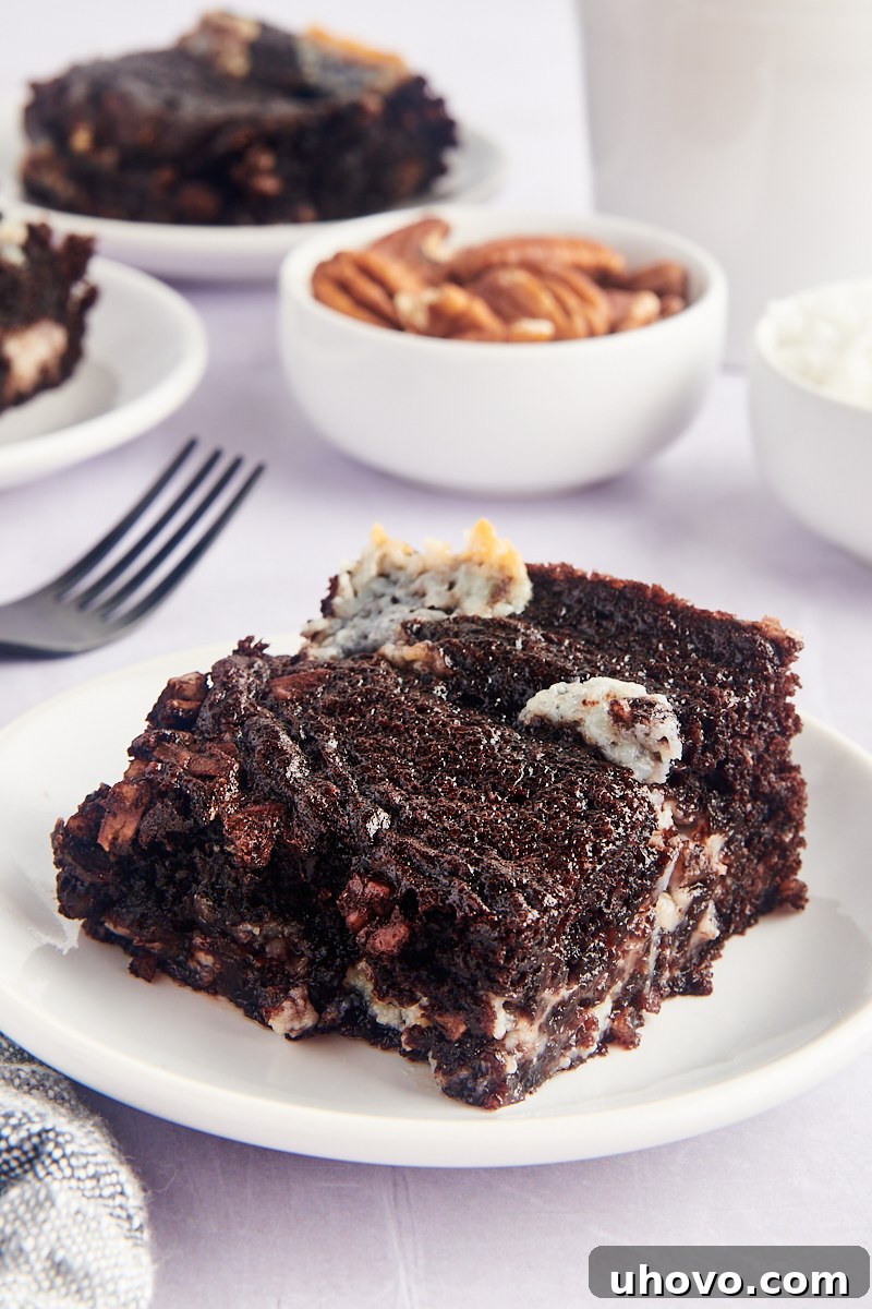 Piece of earthquake cake on white plate
