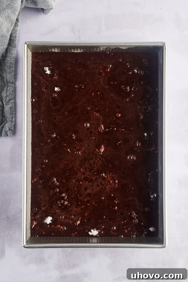 Overhead view of earthquake cake batter in pan